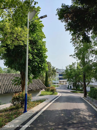 太阳能路灯|重庆太阳能路灯|太阳能路灯生产厂家|重庆太阳能路灯生产厂家|太阳能路灯厂家热线：18290421093|重庆太阳能路灯厂家|重庆太阳能路灯厂|太阳能路灯厂家供应|重庆太阳能路灯厂家供应|太阳能路灯厂家批发|重庆太阳能路灯厂家批发|重庆太阳能路灯批发|重庆太阳能路灯生产|哈珠太阳能照明|哈珠太阳能路灯|哈珠太阳能路灯厂